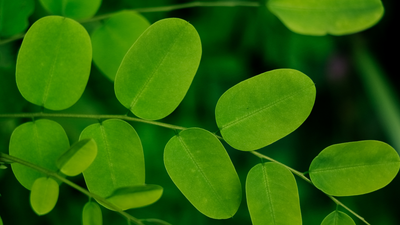 Vitamine A