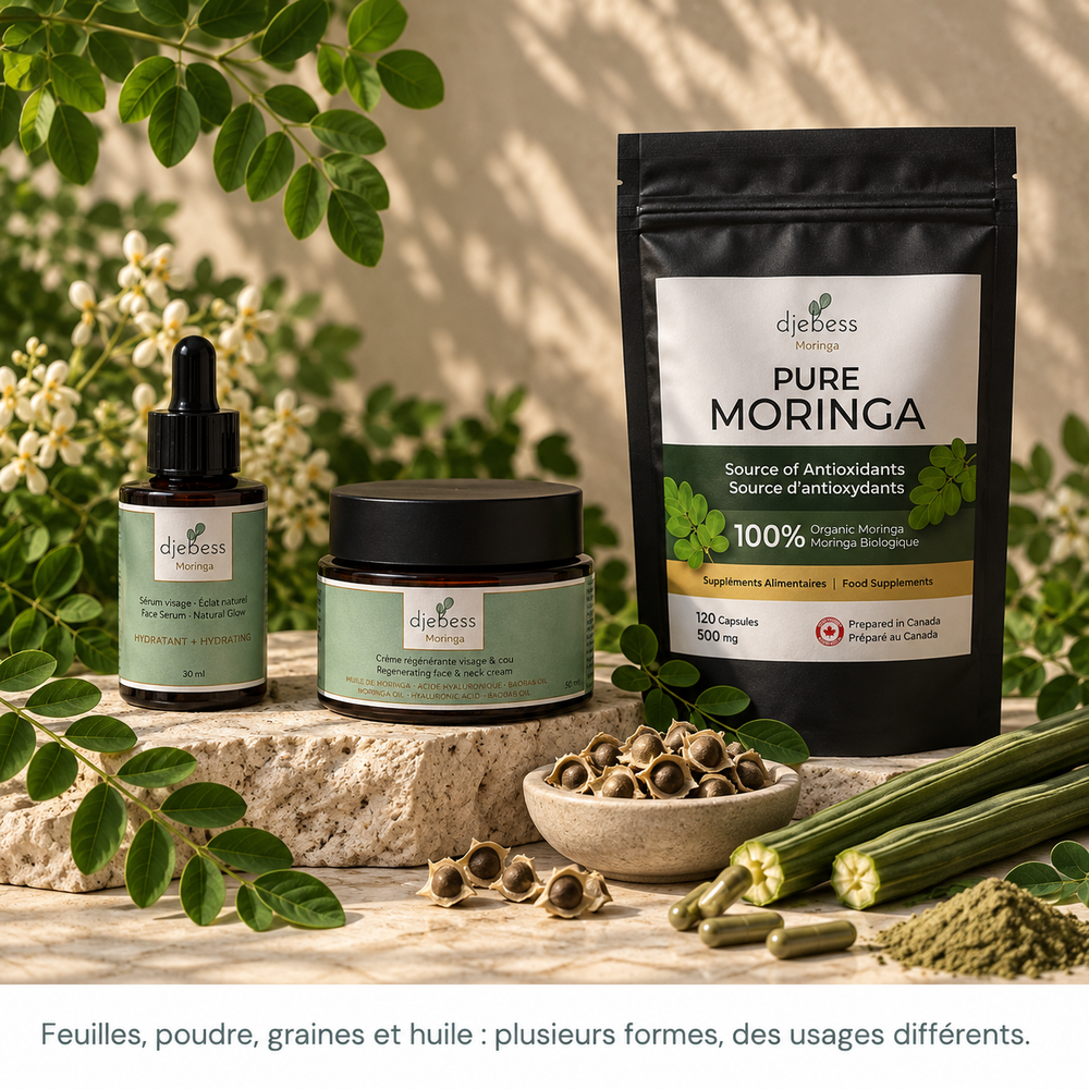 Graines et huile de moringa